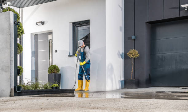 Best Brick and Stone Cleaning in Ferndale, MD